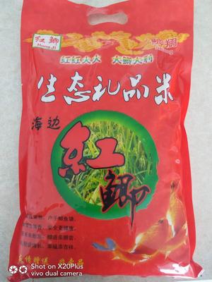 生态礼品米