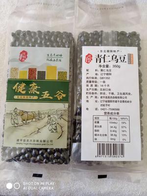 青仁乌豆