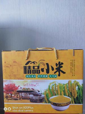 精品小米